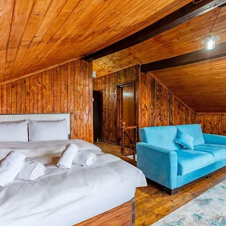 فيلة Charming On The Shore Of Sapanca ساكاريا